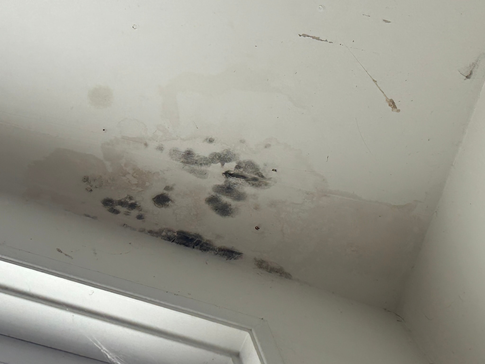 Interior ceiling showing visible moisture or mold damage